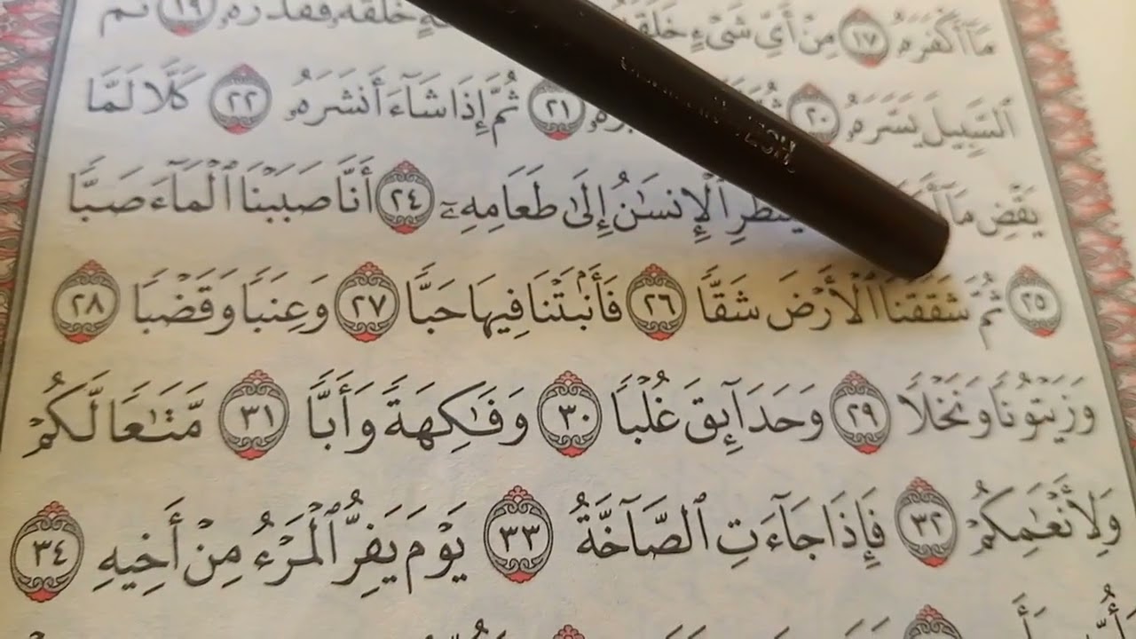 سورة عبس _للمبتدئين _ المصحف المعلم