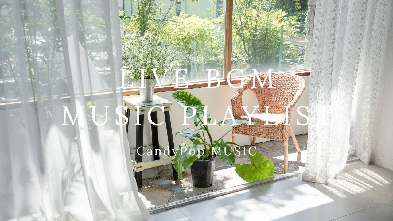 【LiveBGM】春のカフェ気分🌿お洒落な洋楽で過ごす癒しの時間｜作業用・読書・かけ流し