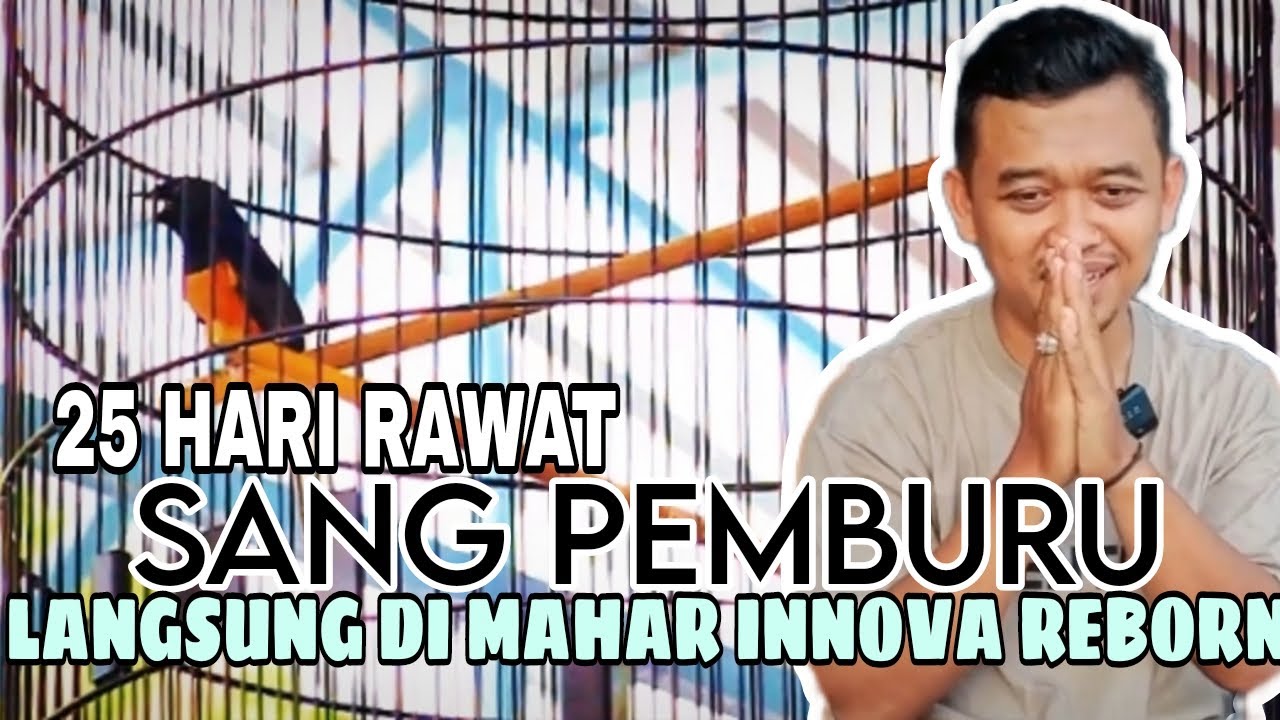 Pantauan 3 Kali, MB Sang Pemburu Langsung Sold-Out Senilai Innova Reborn ‼️‼️