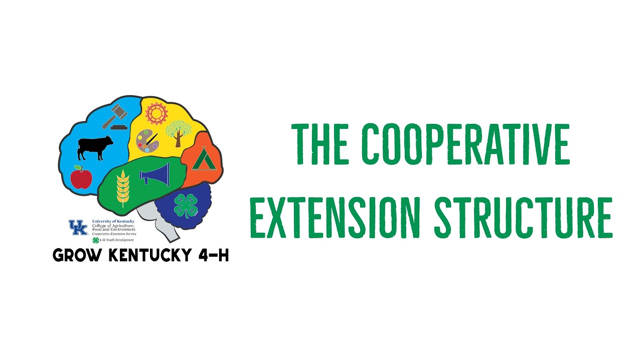 Welcome to 4-H: The Cooperative Extension Structure