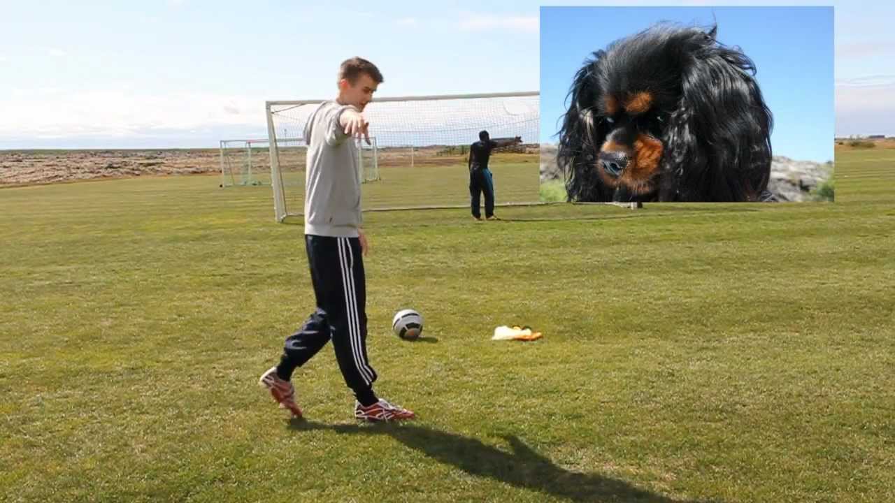 GudjonDaniel Vs. KSIOlajidebt | Penalty Shootout