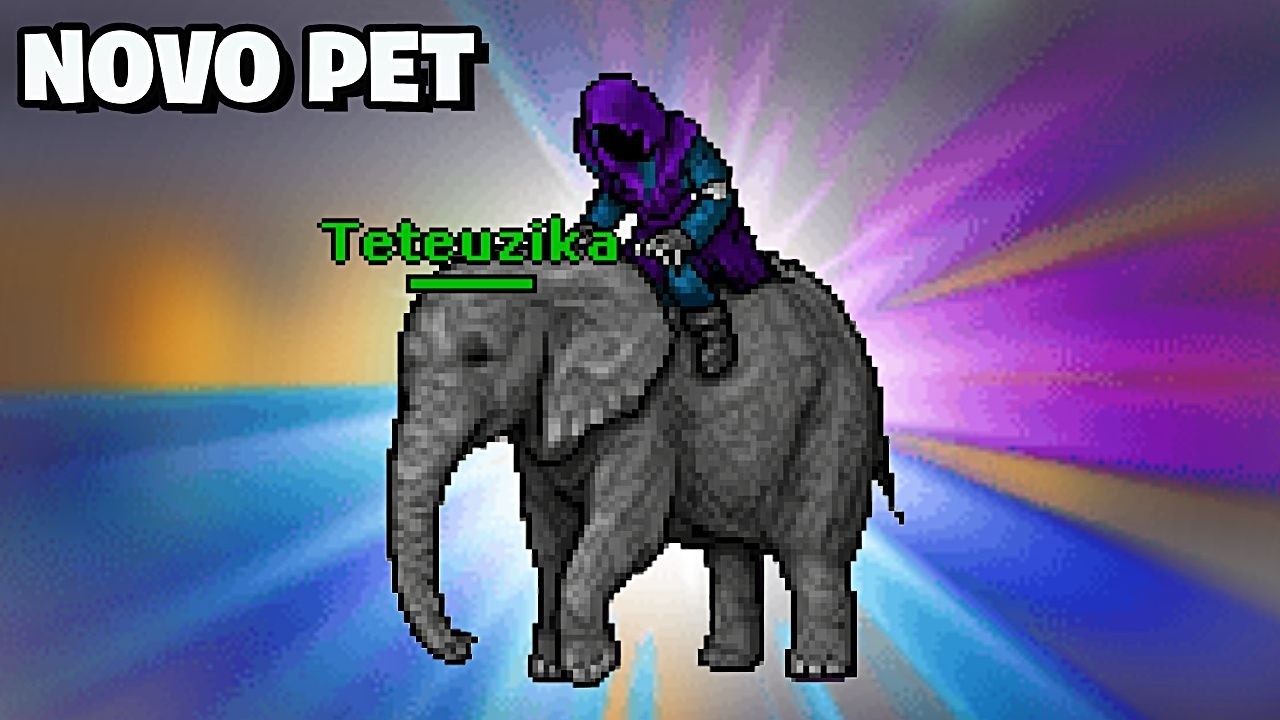 CONSEGUI UM ELEFANTE DE ESTIMAÇÃO!