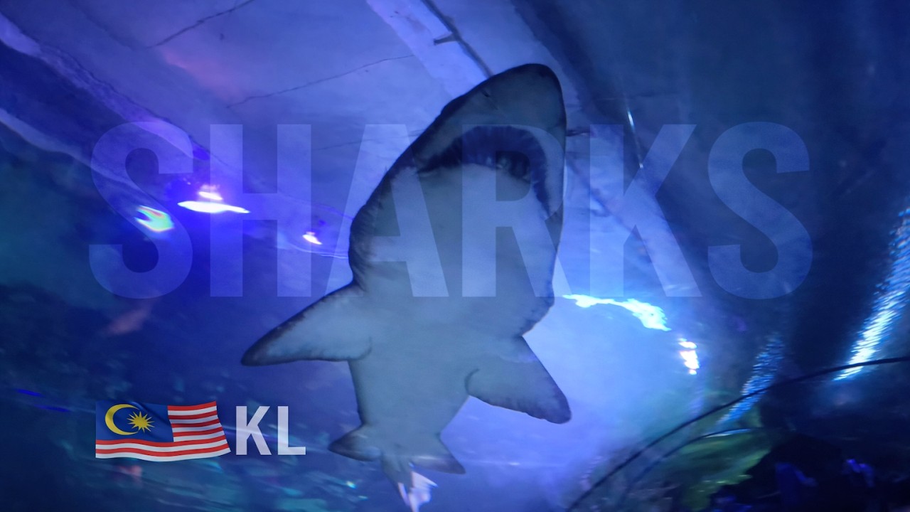 Aquaria KLCC