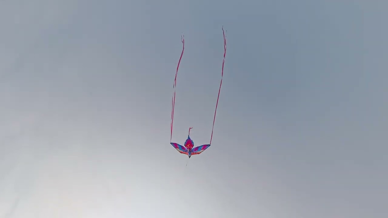 Kite Flight