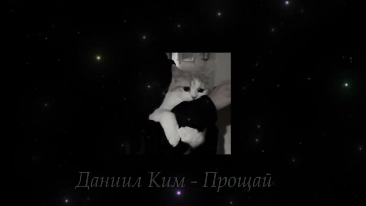 Ты скучаешь по тому самому человеку / Playlist