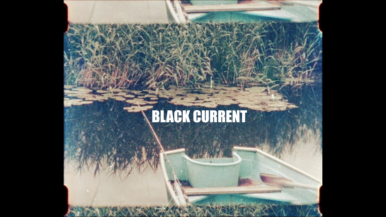 Viktor's Joy - Black current