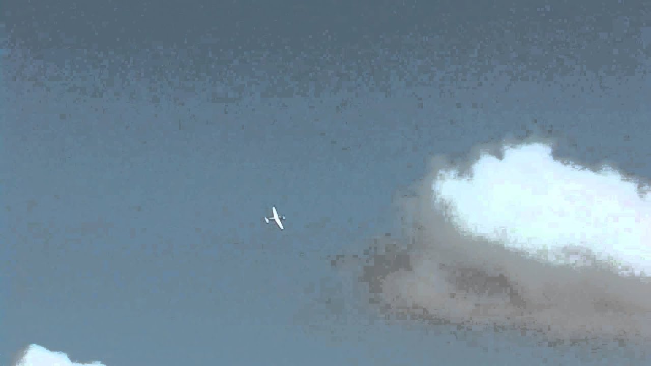 Topmodel.cz MDM - "FOX"