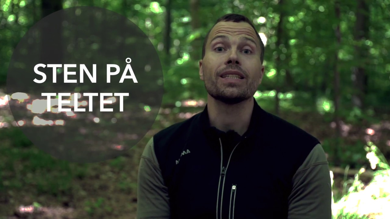 Sten p&aring; teltet, bes&oslash;g af grizzlybj&oslash;rn