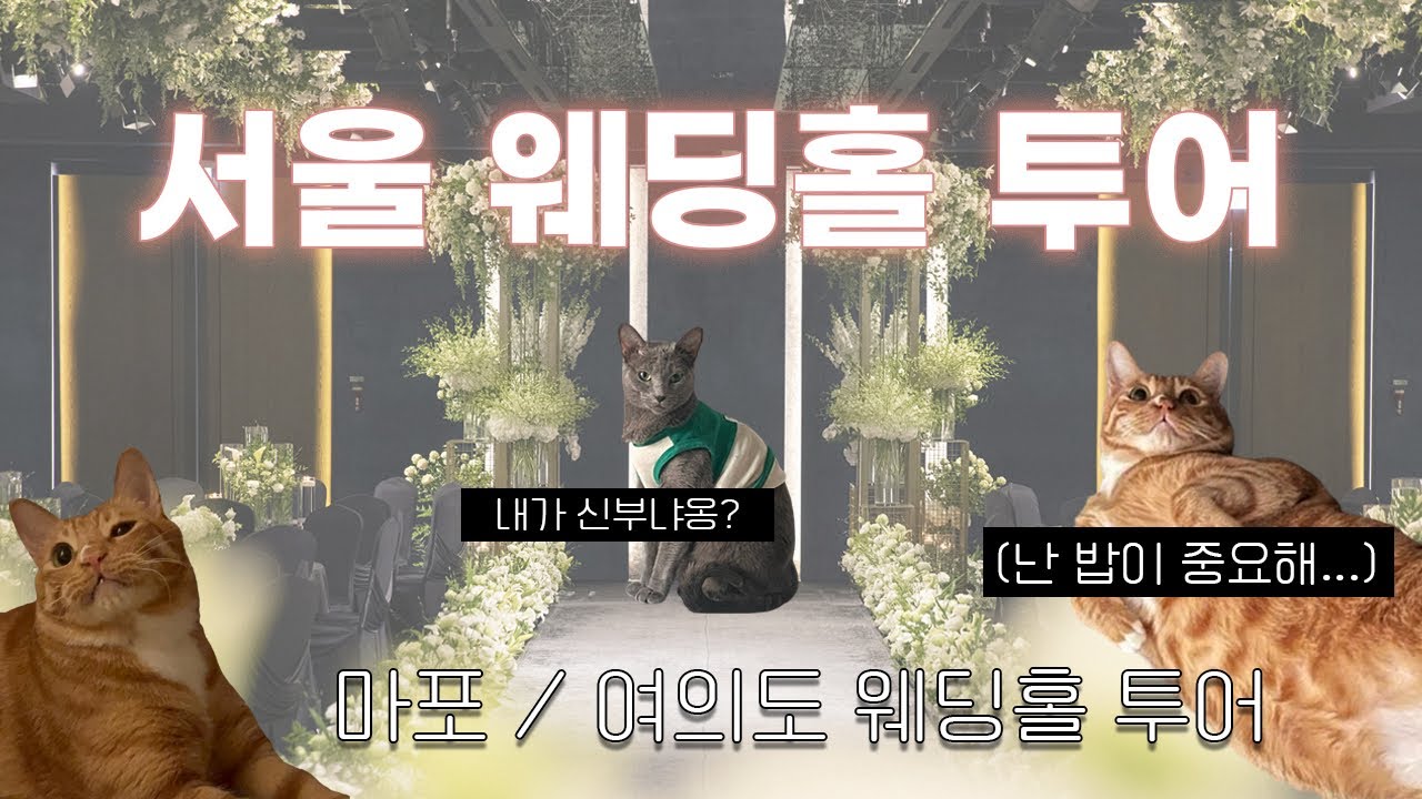 알잘딱깔센- 핵심만 짚어! #마포#여의도 #웨딩홀 #신촌케이터틀 #웨딩여율리 #베뉴 #웨딩홀투어 #후기