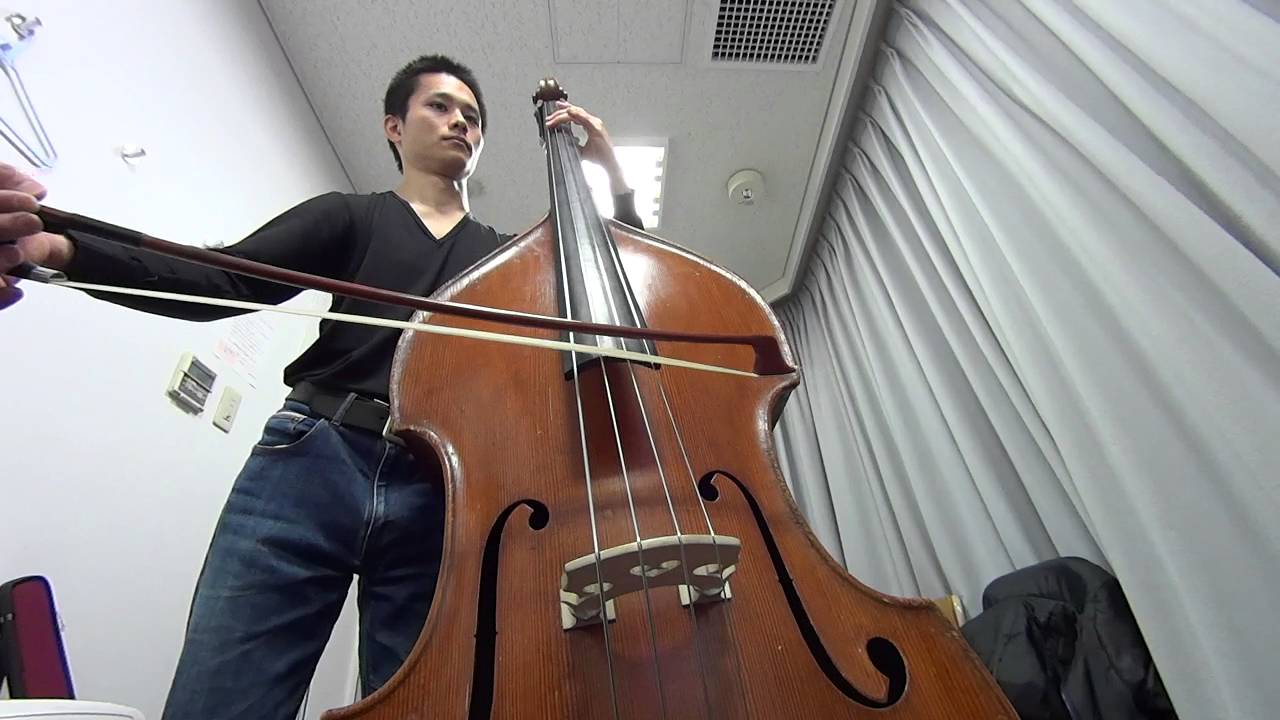 コントラバス視点で見る第九　4楽章 ([Beethoven symphony no.9] (4.mov) recitativo~ )