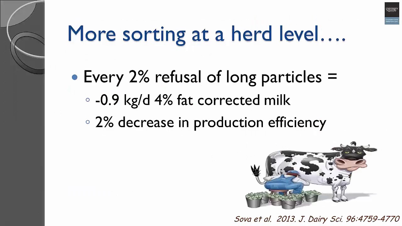 Optimizing Production by Managing How Dairy Cows Eat