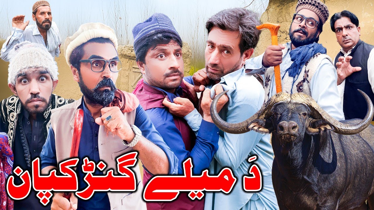 Da Mele Ganrkapan || Pashto Funny Video Mardake Vines