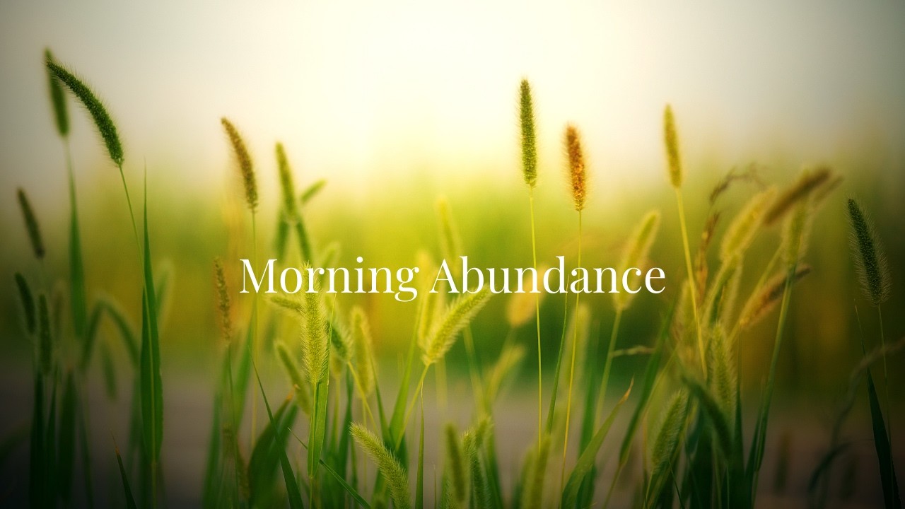 Morning Abundance Affirmations | 20 Minutes of Gratitude & Prosperity
