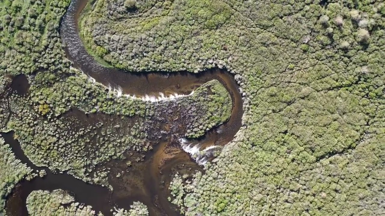 Taylor River Basin Video
