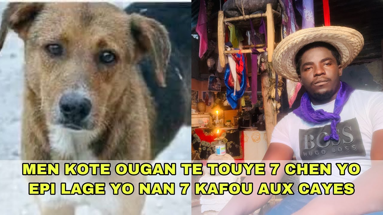 Ougan ki te touye 7 chen Aux Cayes yo pale ankò...Men vidéo kote li te touye chen yo, Fò w gen fyè l
