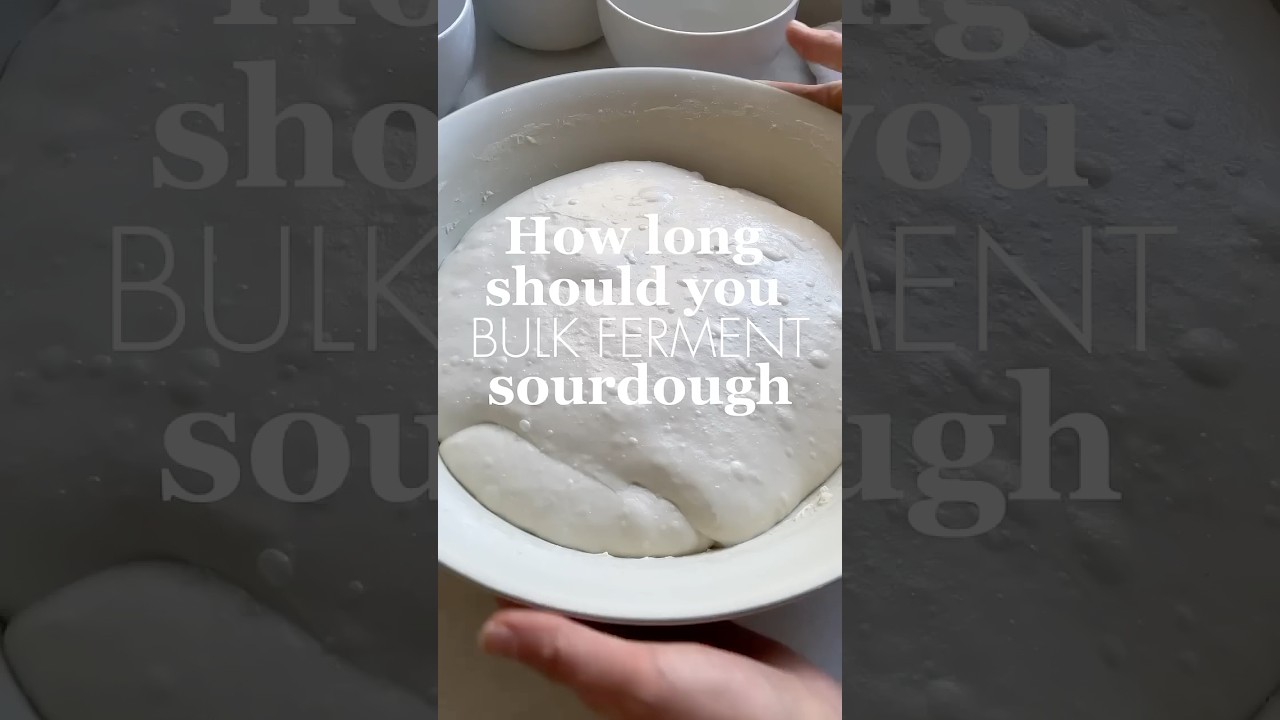 HOW LONG SHOULD YOU BULK FERMENT SOURDOUGH(INFO IN DESCRIPTION)  #breadrecipe #fermentedbread #bread