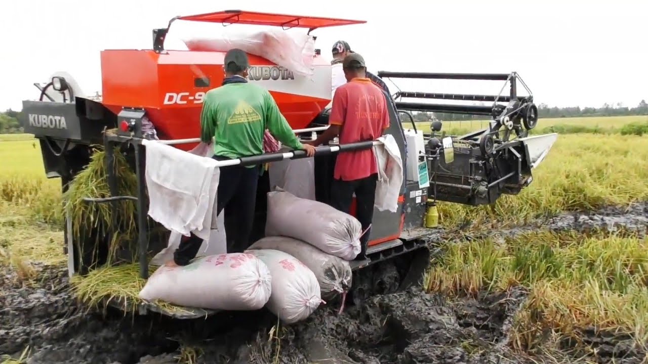 m&aacute;y cắt l&uacute;a. may gat lua Kubota DC 93. m&aacute;y gặt đập li&ecirc;n hợp Kubota 907 - thương miền t&acirc;y