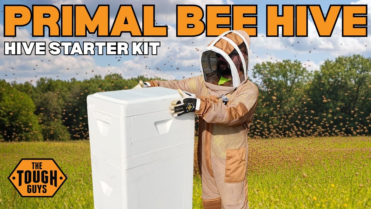 Распаковка и установка стартового комплекта улья Primal Bee Hive: Эпизод 1