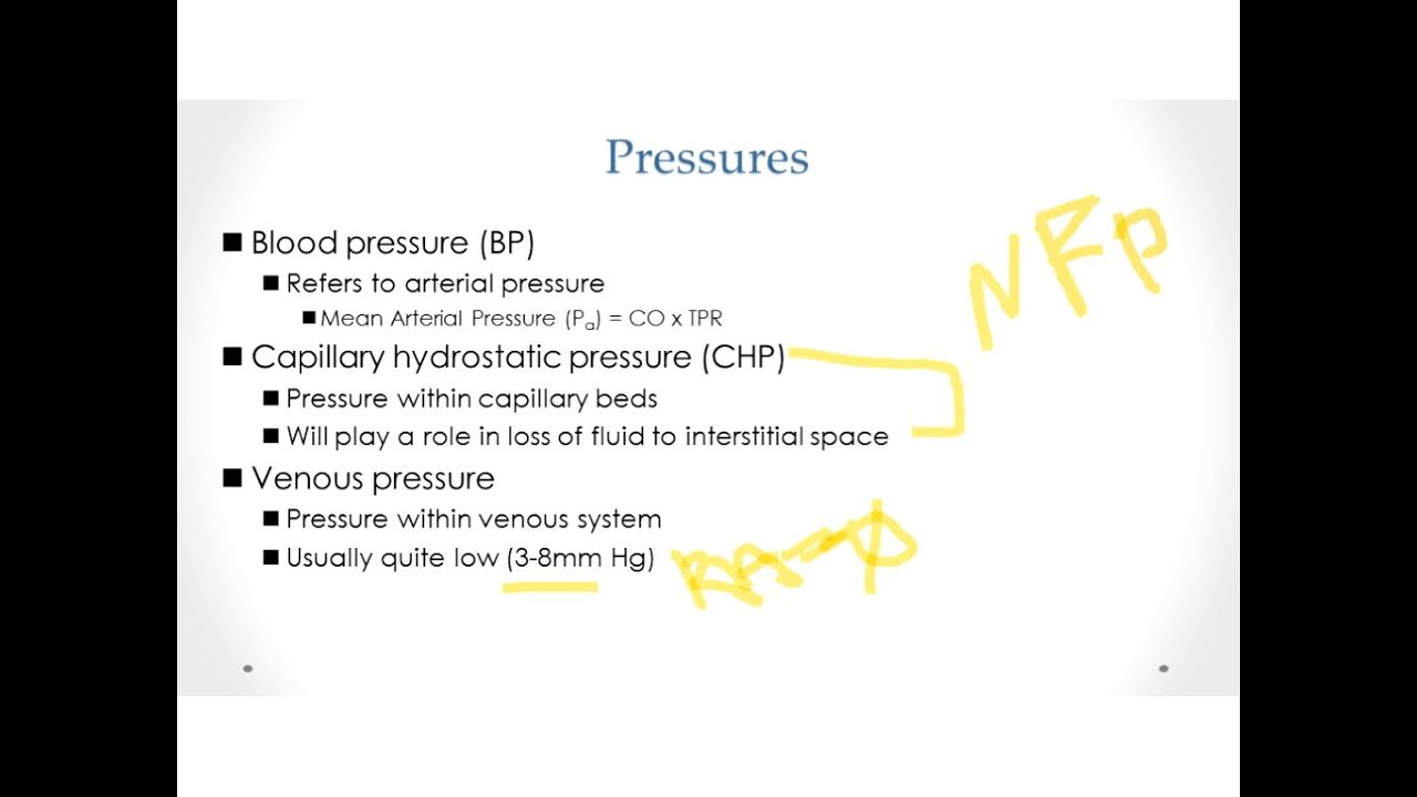 Bio 208 Vessels and Blood Pressure Part 2