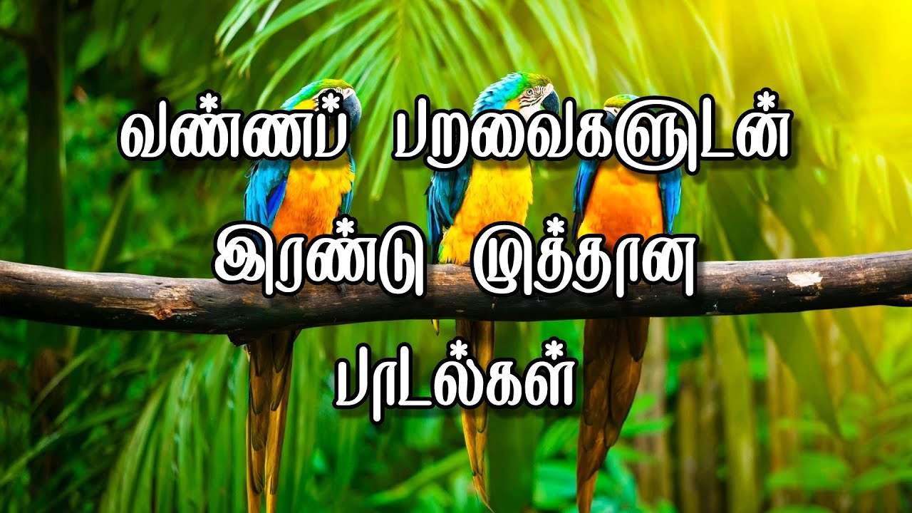 Poonguyil raagame l Yaelelan kiliye Song lyrics l Naan Pesa Ninaipathellam.