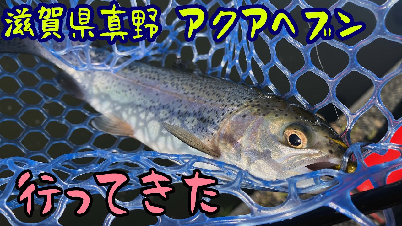 アクアヘブン行ってきたよ