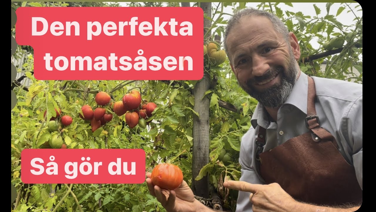 Så gör du den perfekta tomatsåsen