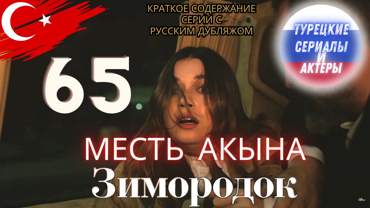 Зимородок 65 серия |Краткое содержание и анализ #зимородок #сейфер #турецкиесериалы