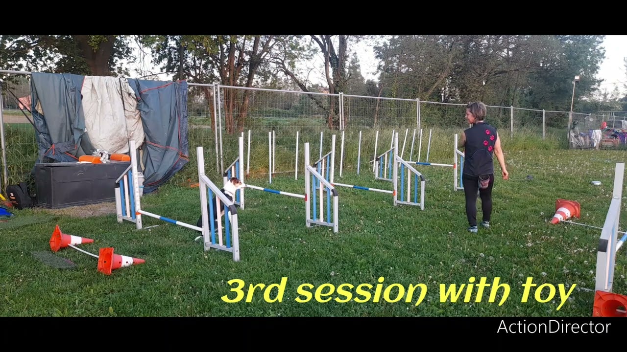 2c) 13/4/24 UNIT 2.2 3rd session with toy ( back chain)