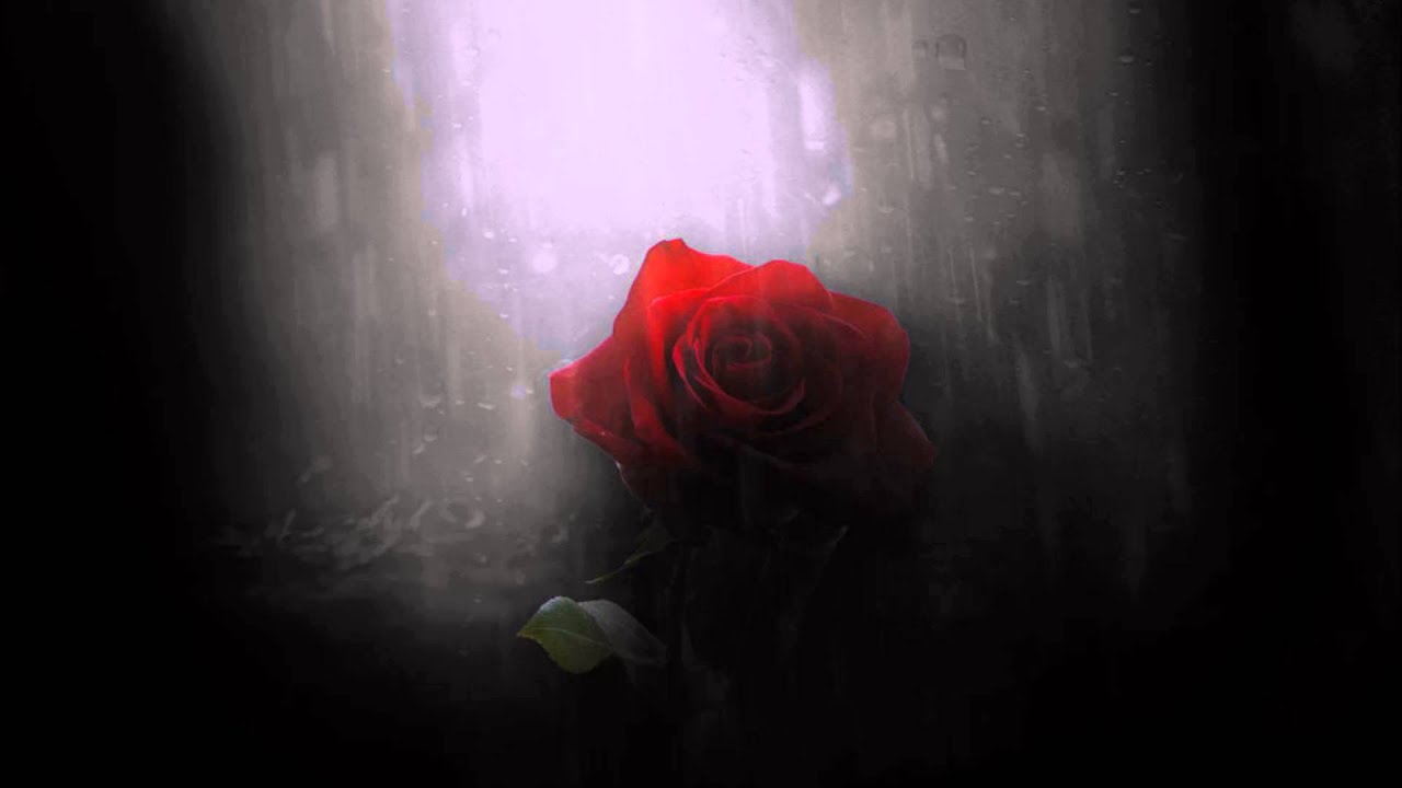 Heather Peace - The Rose