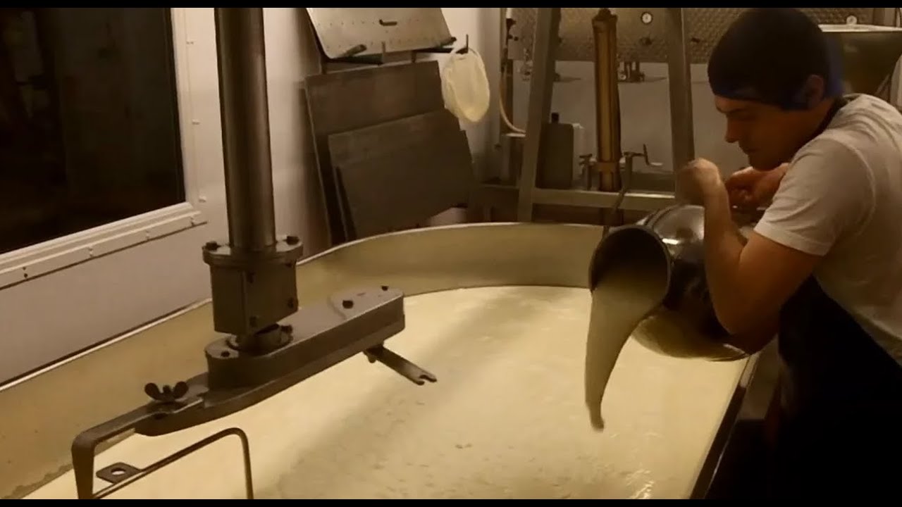 Anster Cheese: A video visit to see it being made