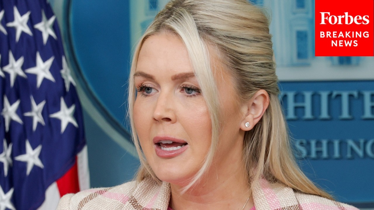 Karoline Leavitt: DHS Is 'Thwarting Threats' That 'Most Americans Don't Know About'