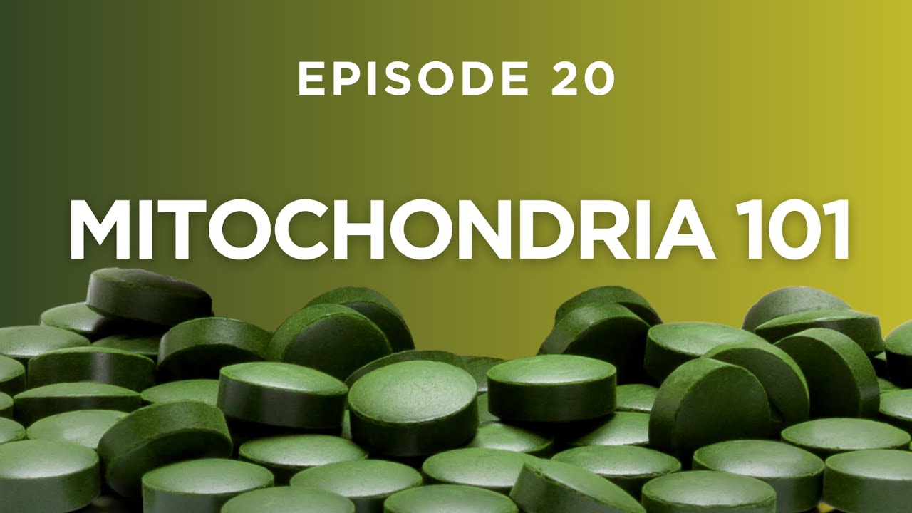 Mitochondria 101: Stem Cell Therapy Too Pricey? These Alternatives Might Surprise You