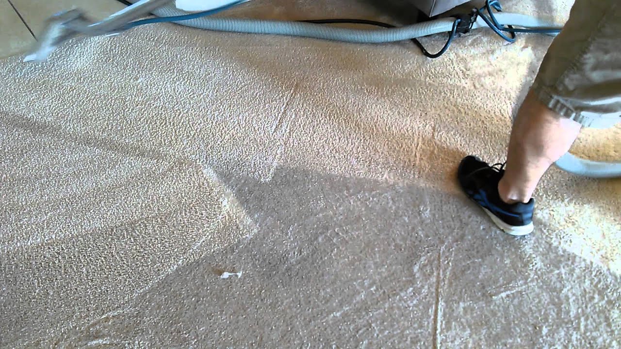 Carpet Tek deep cleaning