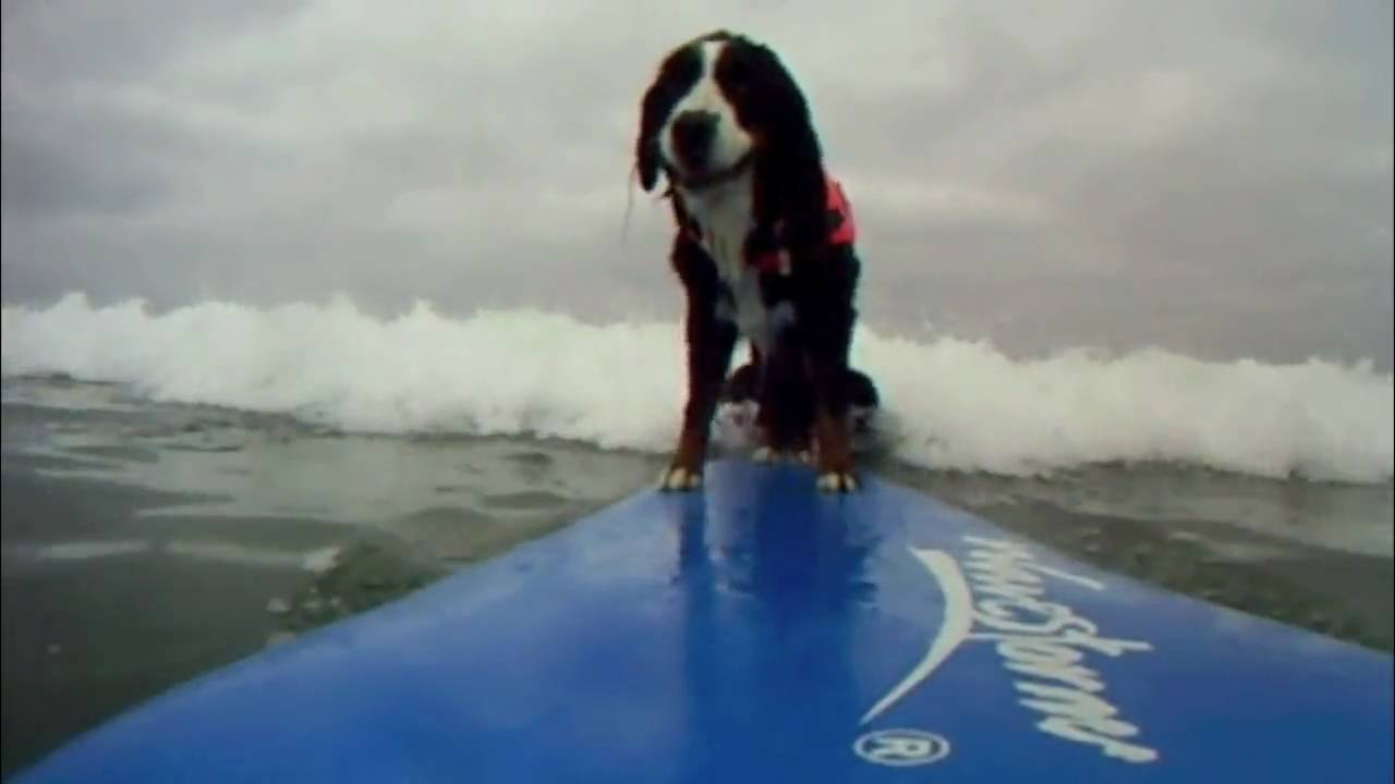 Nani Surfing OB