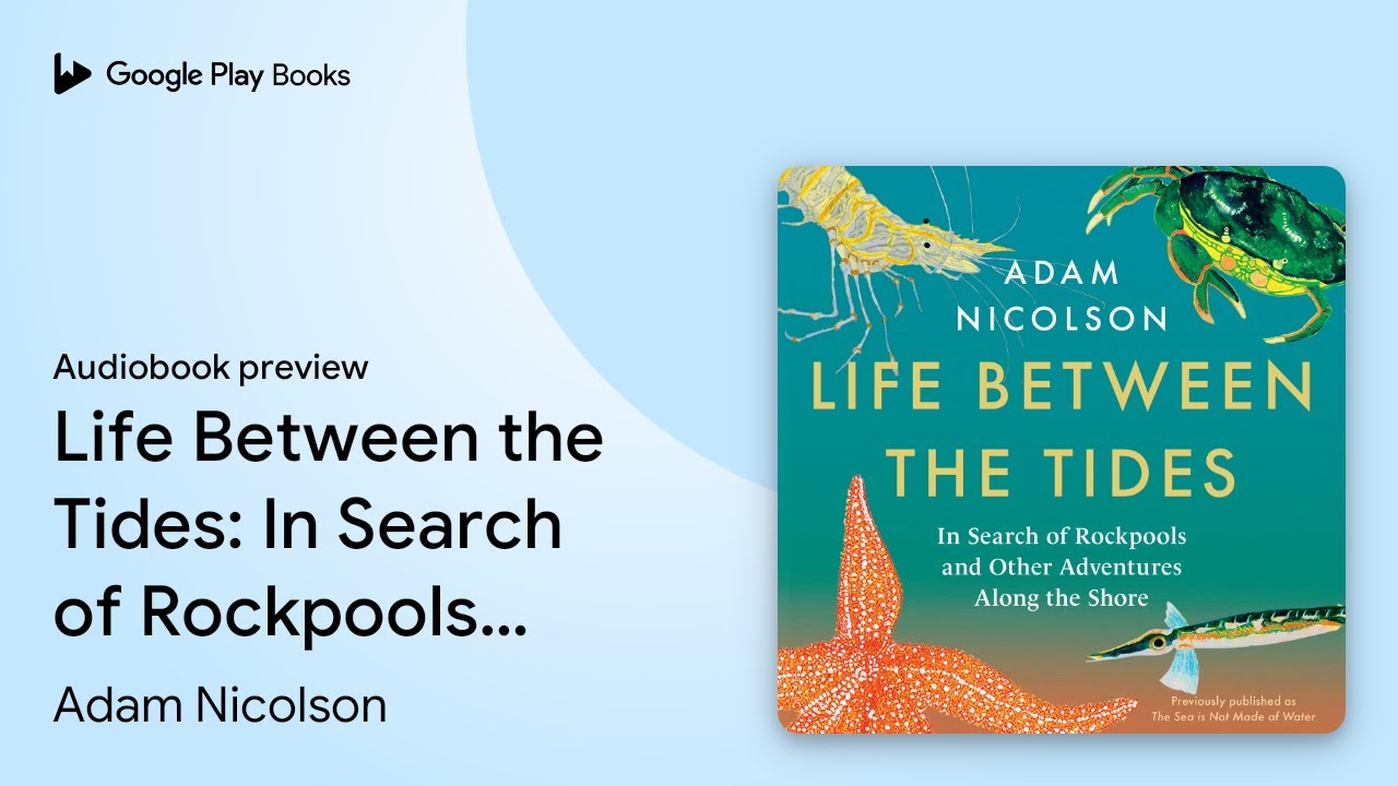 Life Between the Tides: In Search of Rockpools… by Adam Nicolson · Audiobook preview