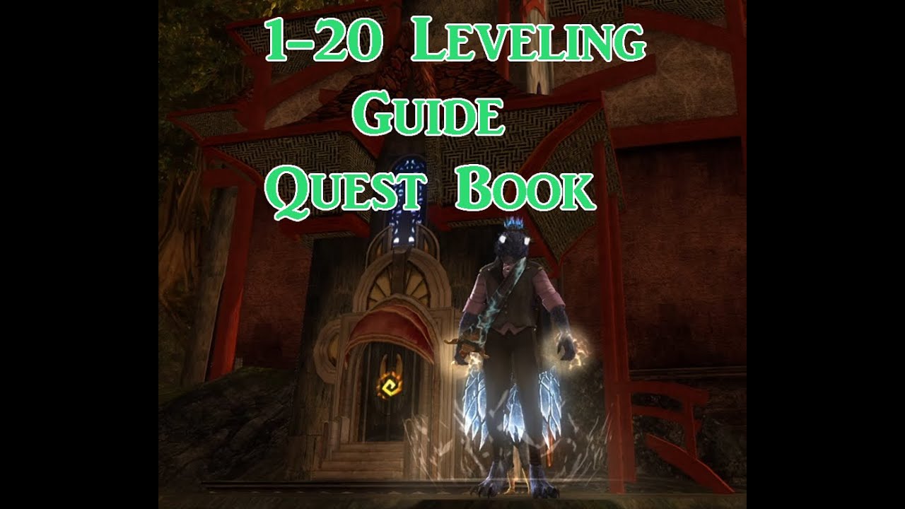 1-20 Leveling Guide & Excel Quest Book | DDO Tips #3