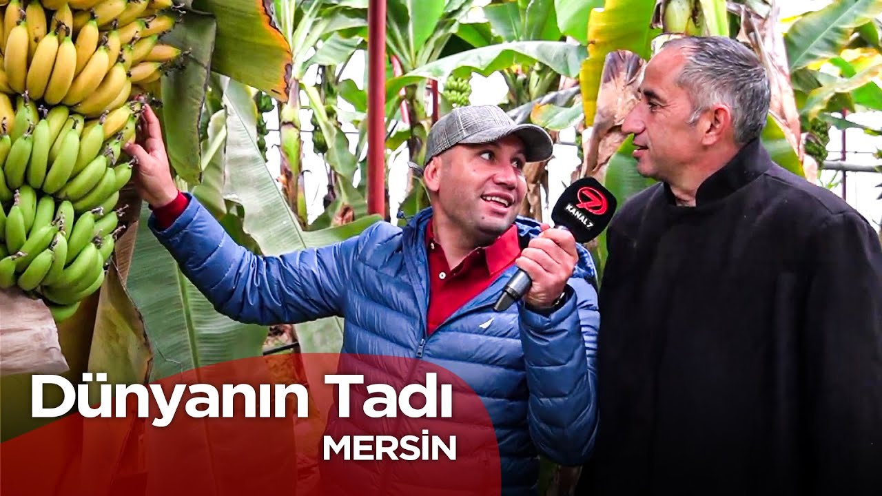 Dünyanın Tadı - Mersin 4  | 15 Şubat 2025