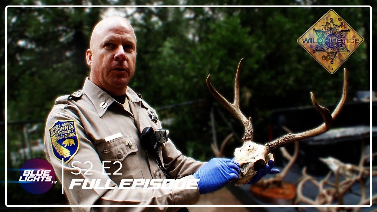 Wild Justice | Full Episode | Season 2 Episode 2