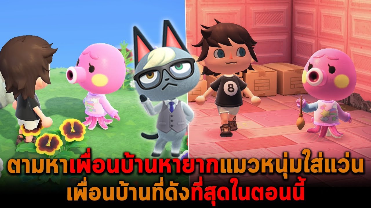 ตามหาเพื่อนบ้านหายากแมวหนุ่มใส่แว่น เพื่อนบ้านที่ดังที่สุดในตอนนี้ Animal Crossing