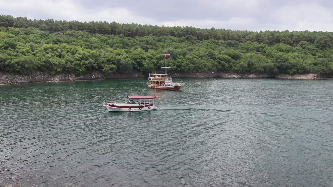 Sinop Hamsilos