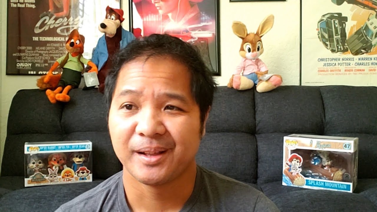 Splash Mountain Plushies and Funko Pops DISAPPEARING
