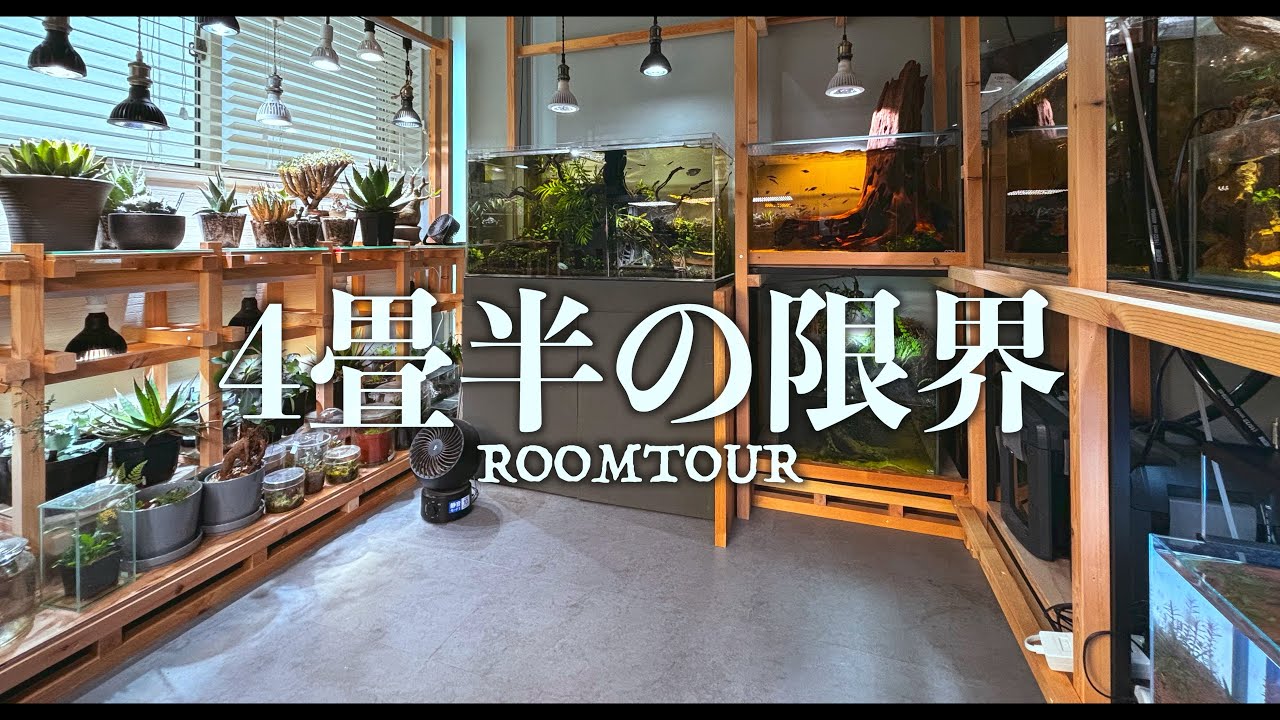 アクアリムと珍奇植物の趣味部屋ルームツアー。4畳半あれば、何でもできる。んなわけないけど、これぐらいはできる。