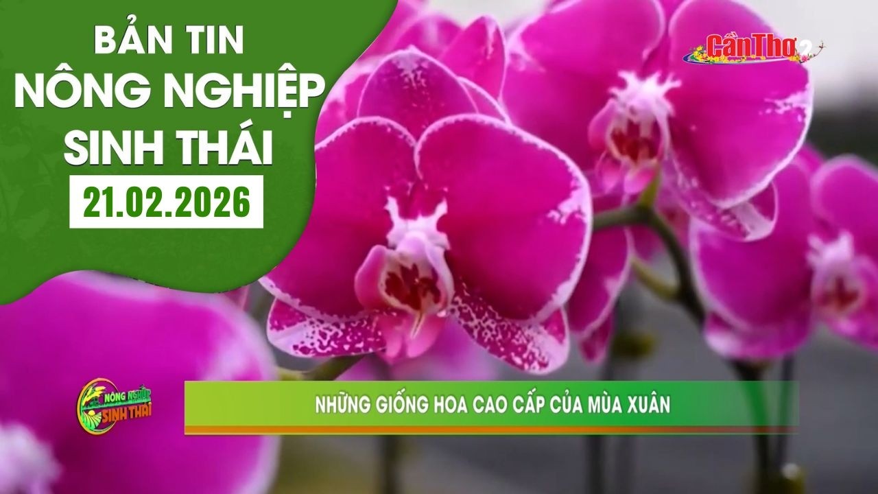 Những giống hoa cao cấp của mùa xuân | NNST 21.02.2026