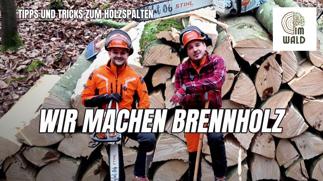 Brennholz spalten & lagern: Die besten Tricks mit Axt, Keil & Wendehaken!