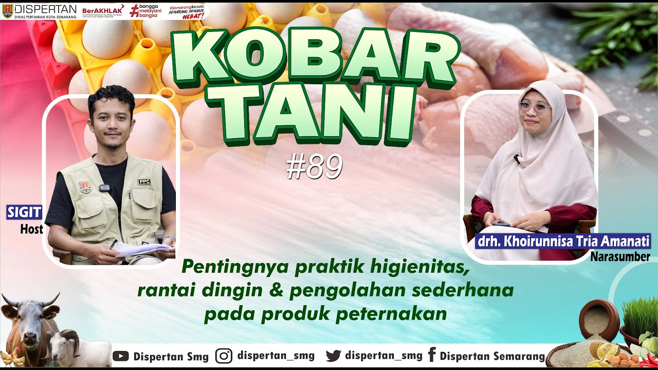 KOBAR TANI #89 