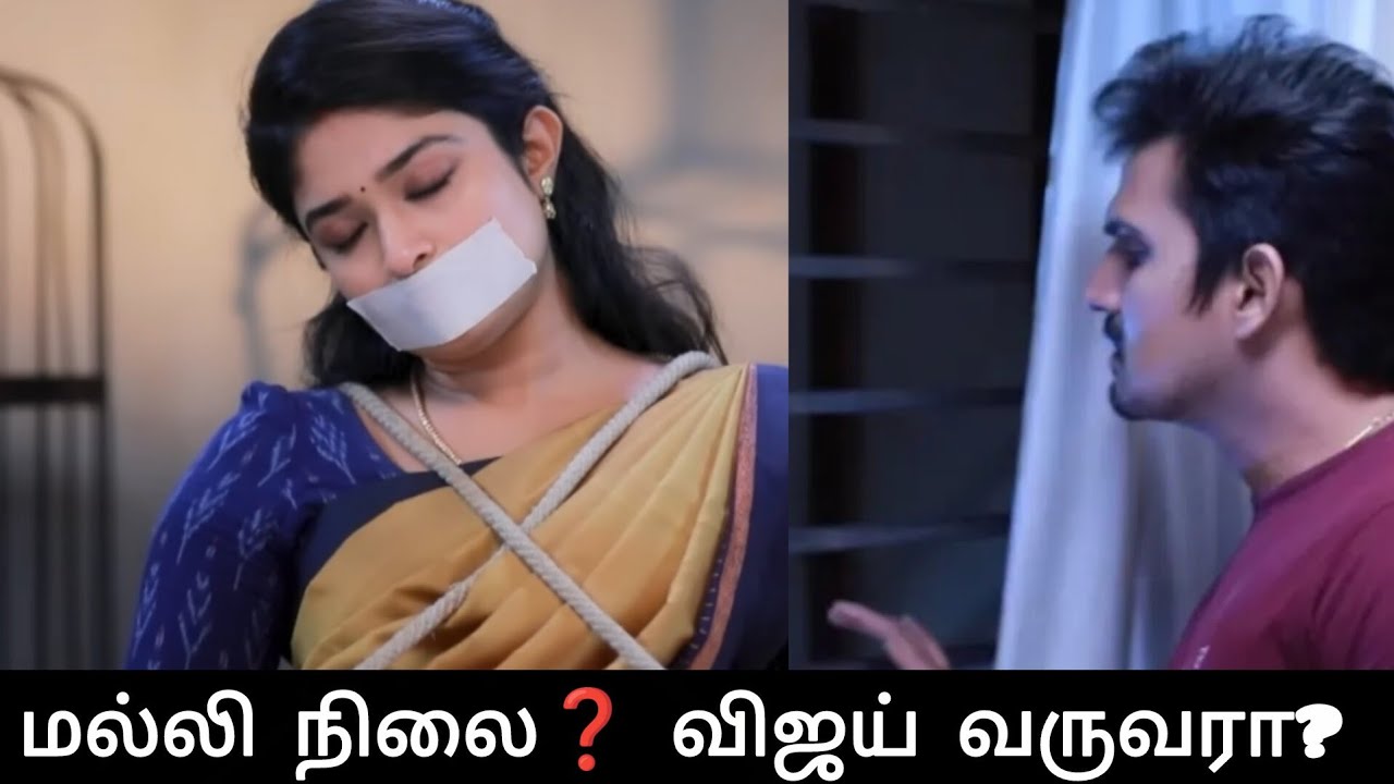 மல்லிக்கு என்ன ஆச்சு❓ விஜய் வெண்பா நிலை❓#malli upcoming serial promo review 7 th feb2026