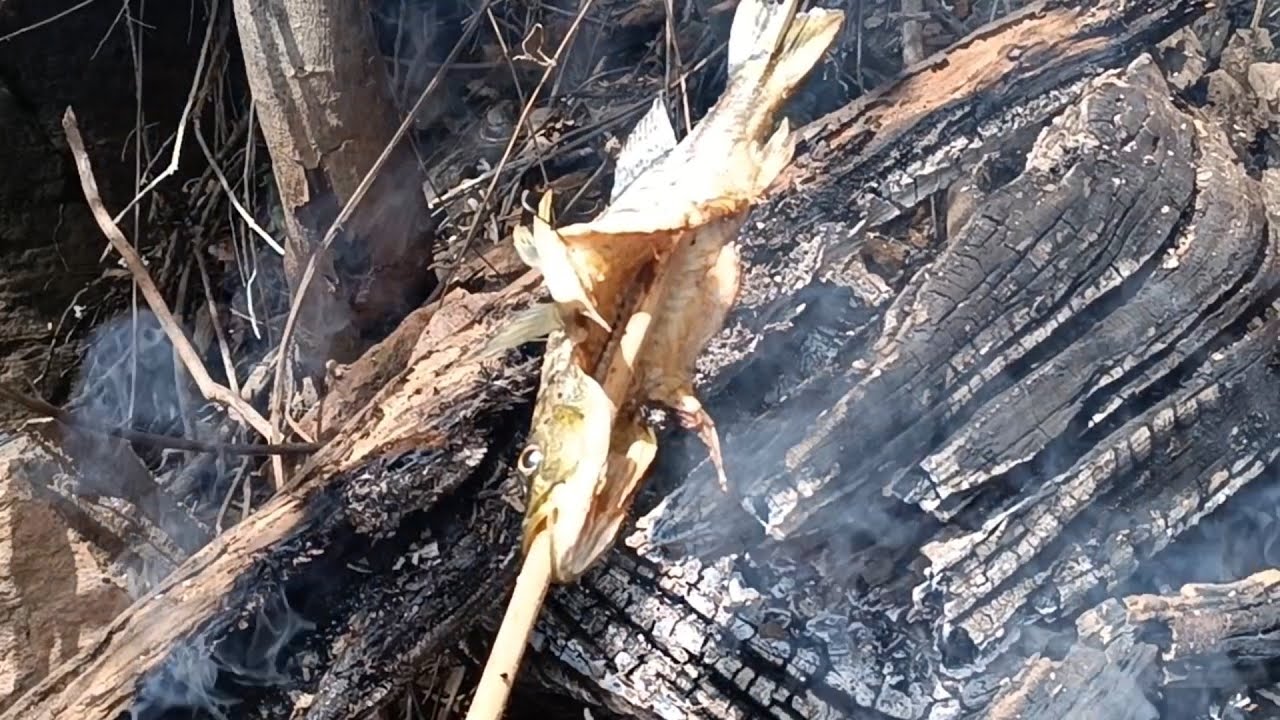 Pescaria de tucunaré na cachoeira da Serra do facão muita chuva fizemos peixe assado