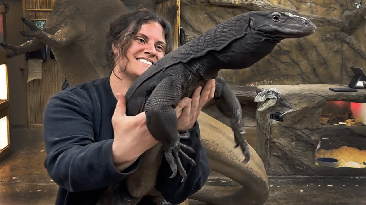 Познакомьтесь с Джилли, Черным Драконом!! 😍🦎