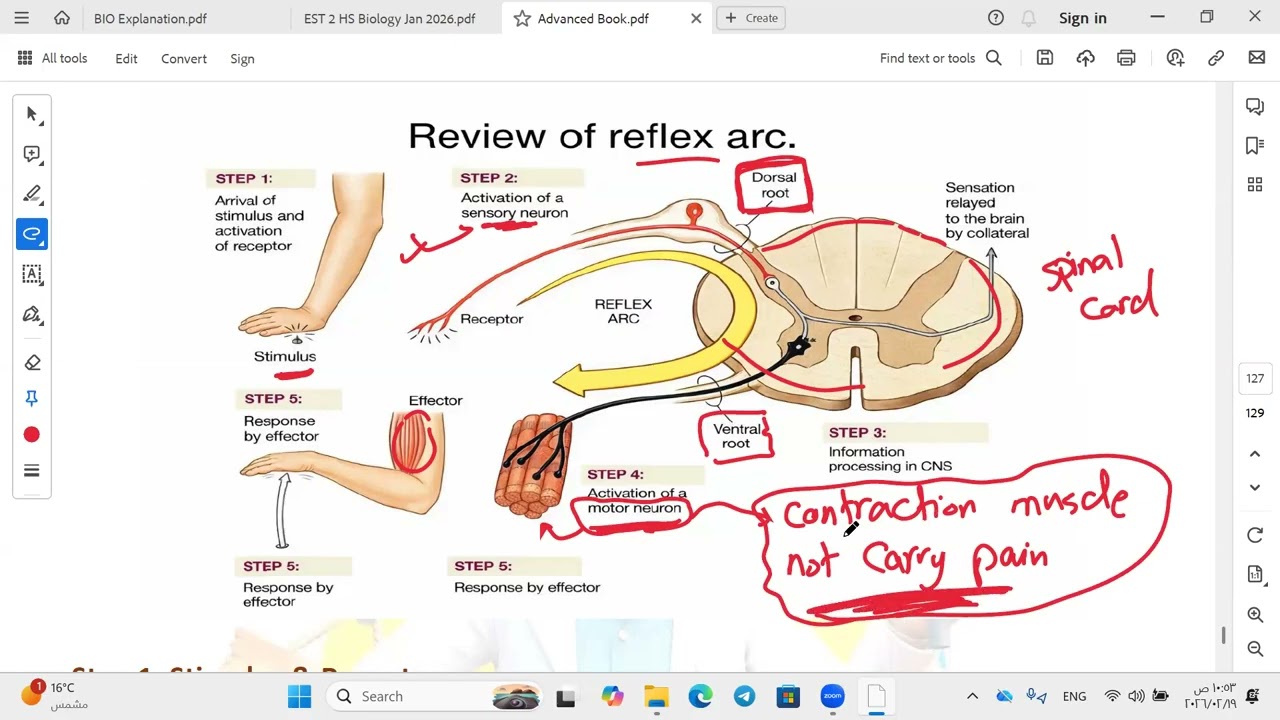 ESTII Biology Jan  2026 ,,, Dr  Mina Nader