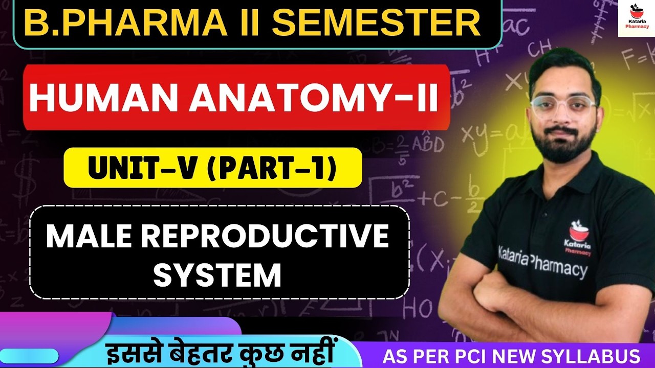 MALE REPRODUCTIVE SYSTEM || HUMAN ANATOMY & PHYSIOLOGY-II | UNIT-V(PART-5) | B.Pharm 2nd Sem #aktu